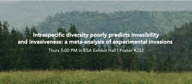 k_lyberger's tweet photo. If you’re around for the poster session at #ESA2023 tomorrow (Thurs) make sure to swing by poster 232 to learn about the effects of genetic diversity on invasion success, presented by Dylan Loth. https://t.co/2P5EqHNLsY