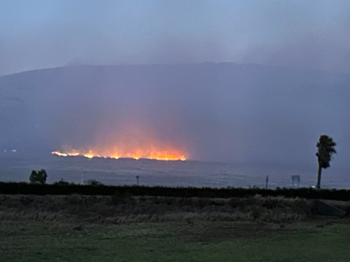 Santa Surfing tweet media