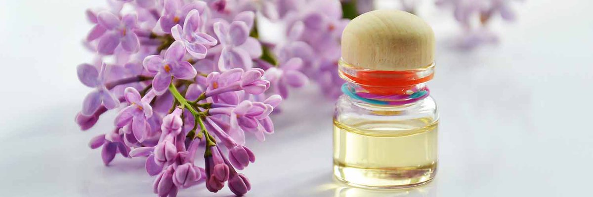 Descubre los asombrosos beneficios del aceite de monoi para la #piel y el #cabello y sumérgete en la belleza natural.
sentirteguapa.com/beneficios-del…