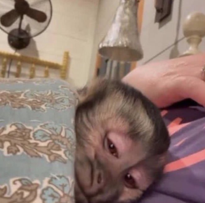 Yo y todos los que sentimos mucho