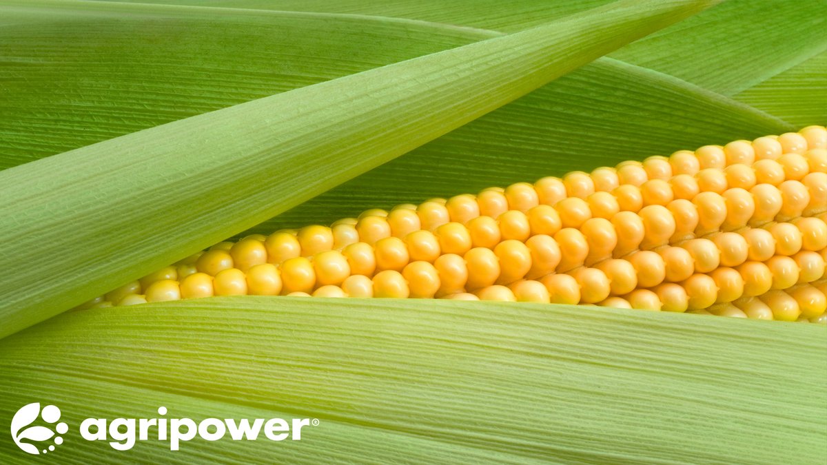 Agripower Australia tweet media