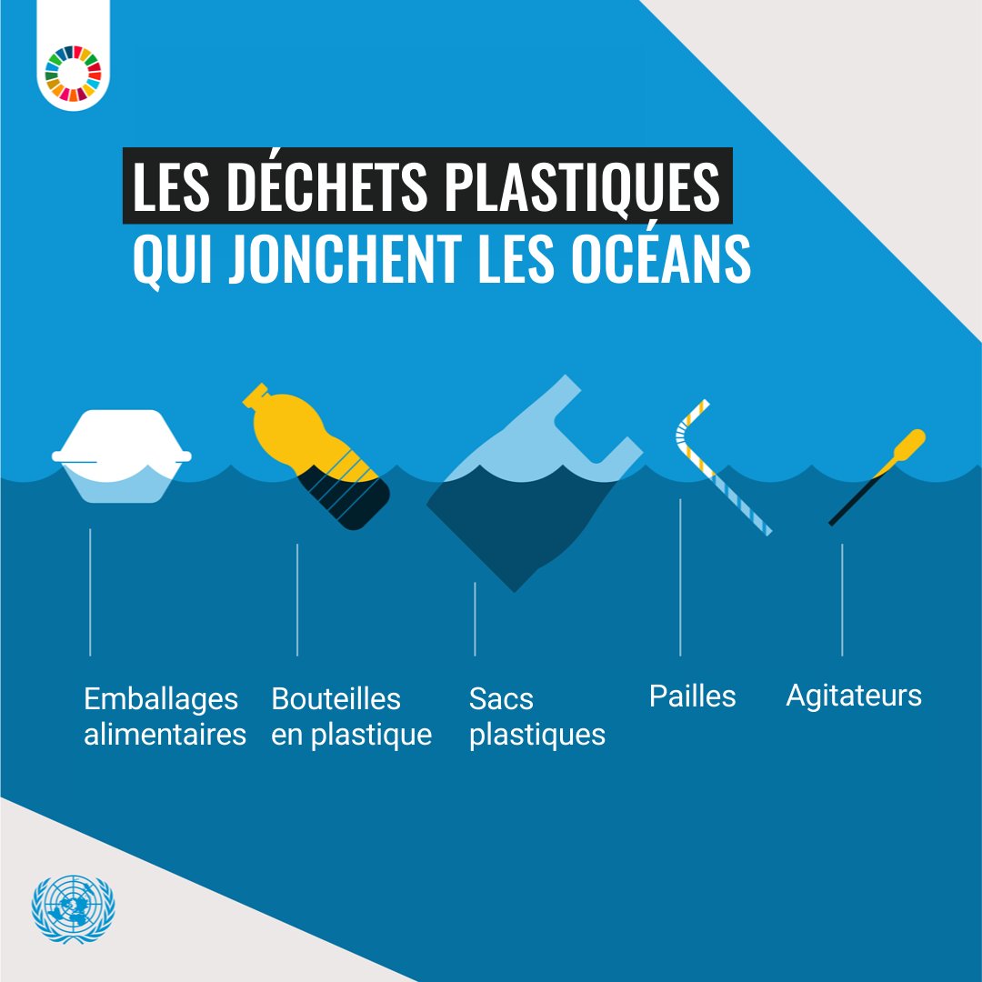 Nations Unies (ONU) tweet media