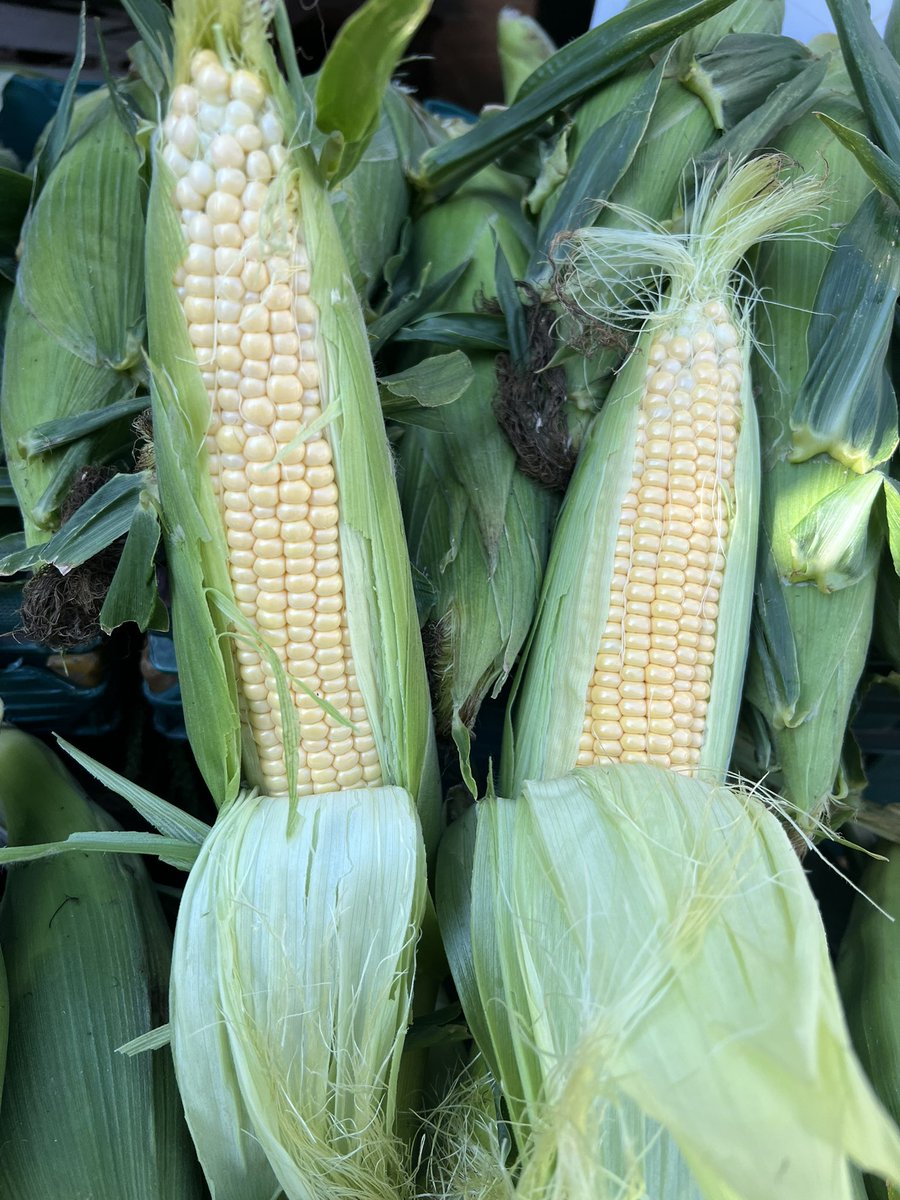 MarketsProduce's tweet photo. Come visit us every Thursday @ElyMarkets. Filled with a massive selection of fresh &amp; local produce. #elymarkets #spottedinely #norfolkproduce #norfolkproducemarkets #freshcorn https://t.co/4eJQr5ra37