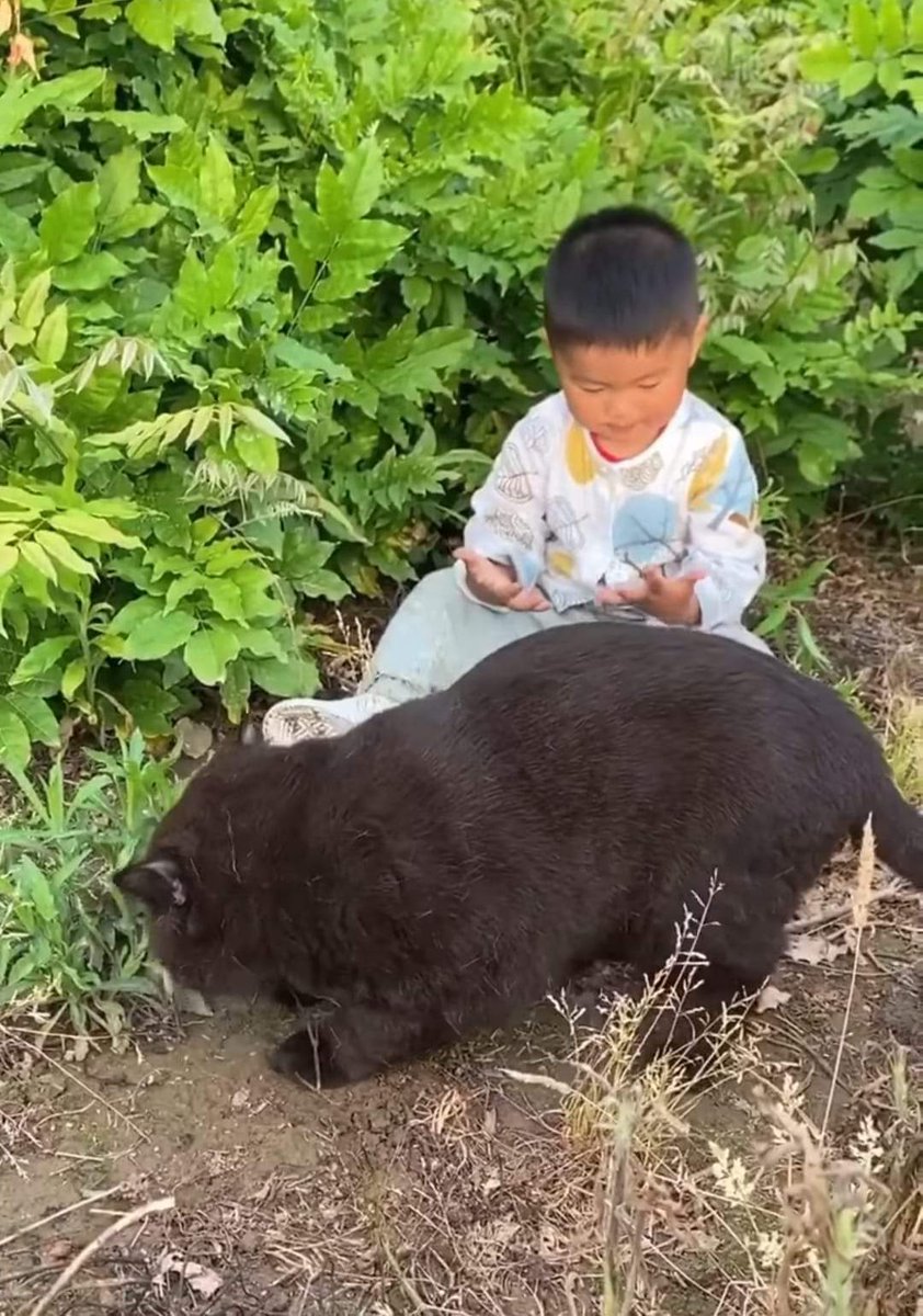 ulat_bulu_bulu's tweet photo. A big baby. https://t.co/StWz5fl99L
