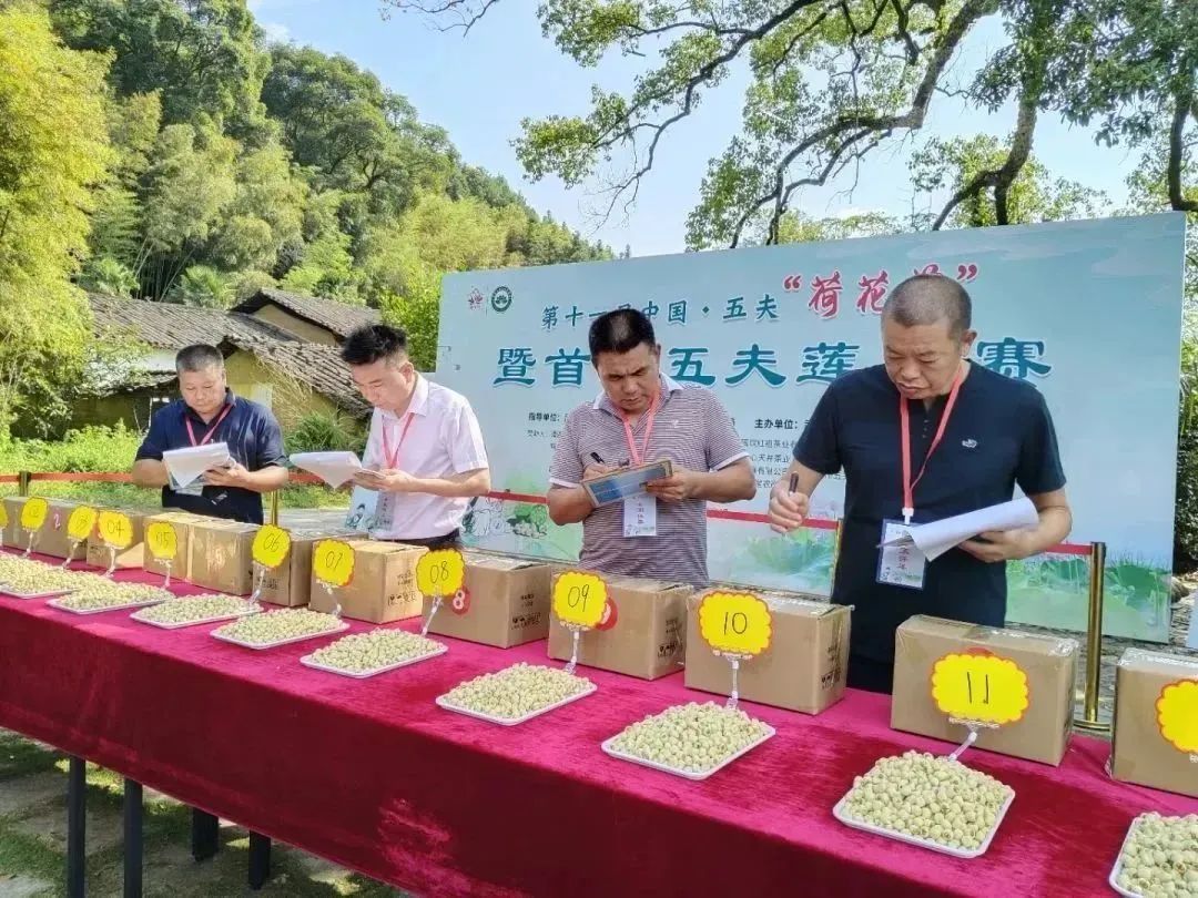 HolaFujian's tweet photo. On August 5, the 11th China Wufu Lotus Festival commenced in #Wufu town, Wuyishan city, #Fujian, China. The diverse range of activities has attracted numerous visitors and photography enthusiasts. https://t.co/9UsNQgOQE1
