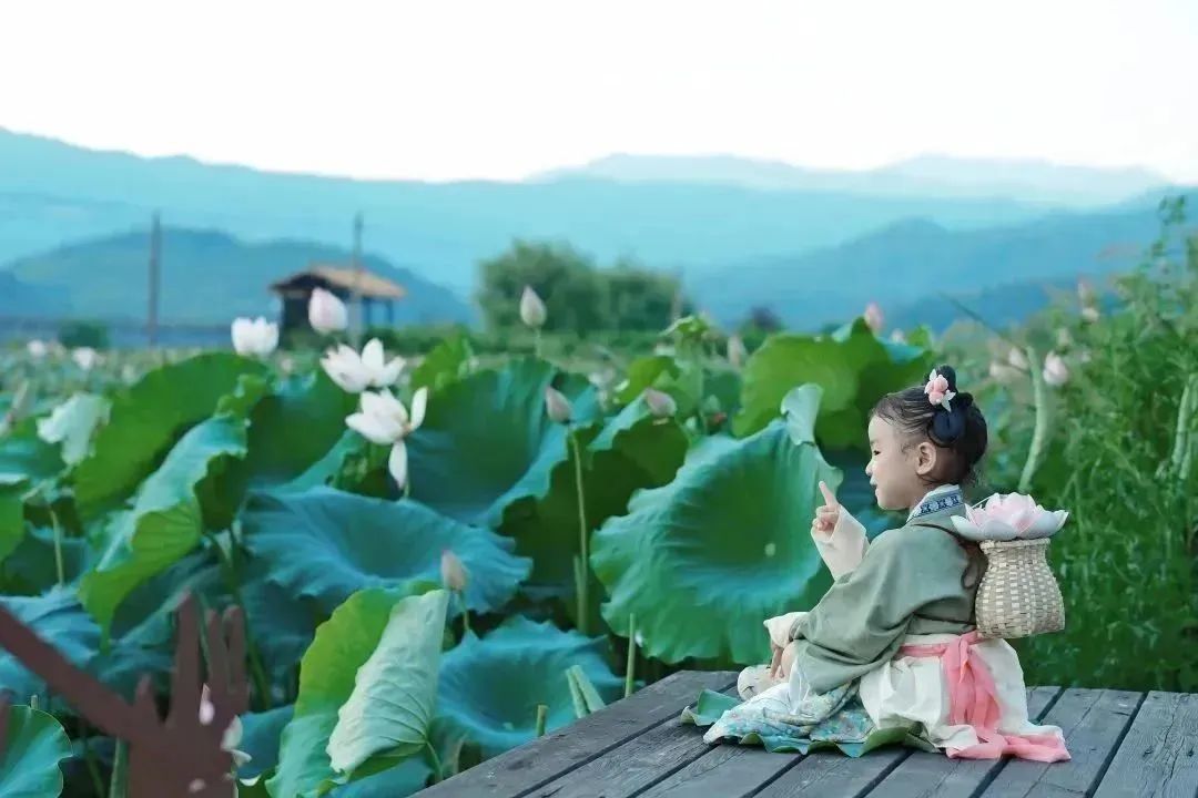 HolaFujian's tweet photo. On August 5, the 11th China Wufu Lotus Festival commenced in #Wufu town, Wuyishan city, #Fujian, China. The diverse range of activities has attracted numerous visitors and photography enthusiasts. https://t.co/9UsNQgOQE1