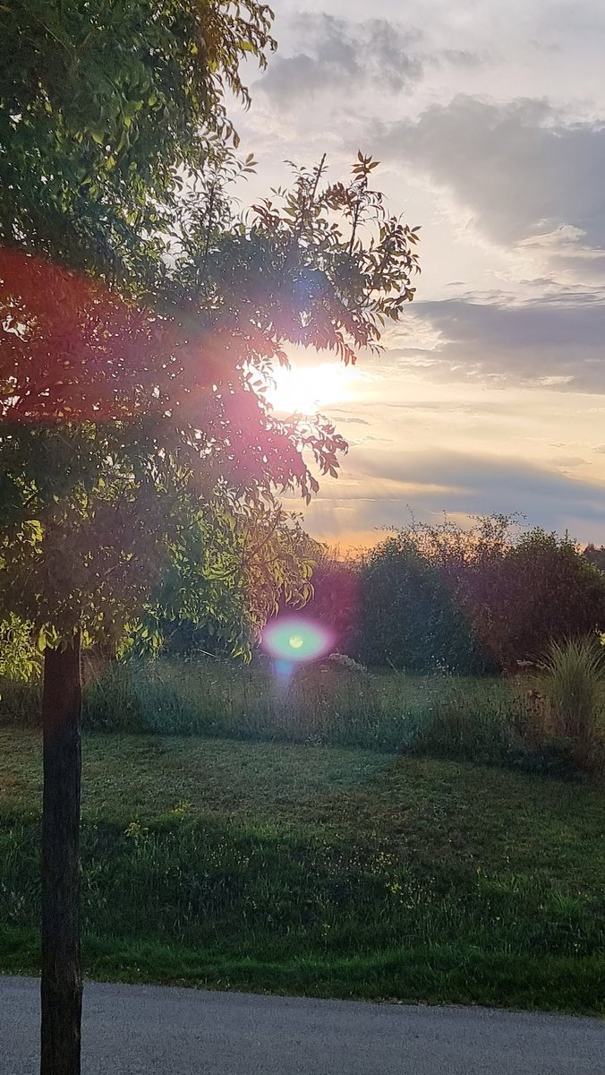 Morning has broken...
🙄🌝🙋🙏
#bonjourtwitter
#gm 
#Bretagne #France