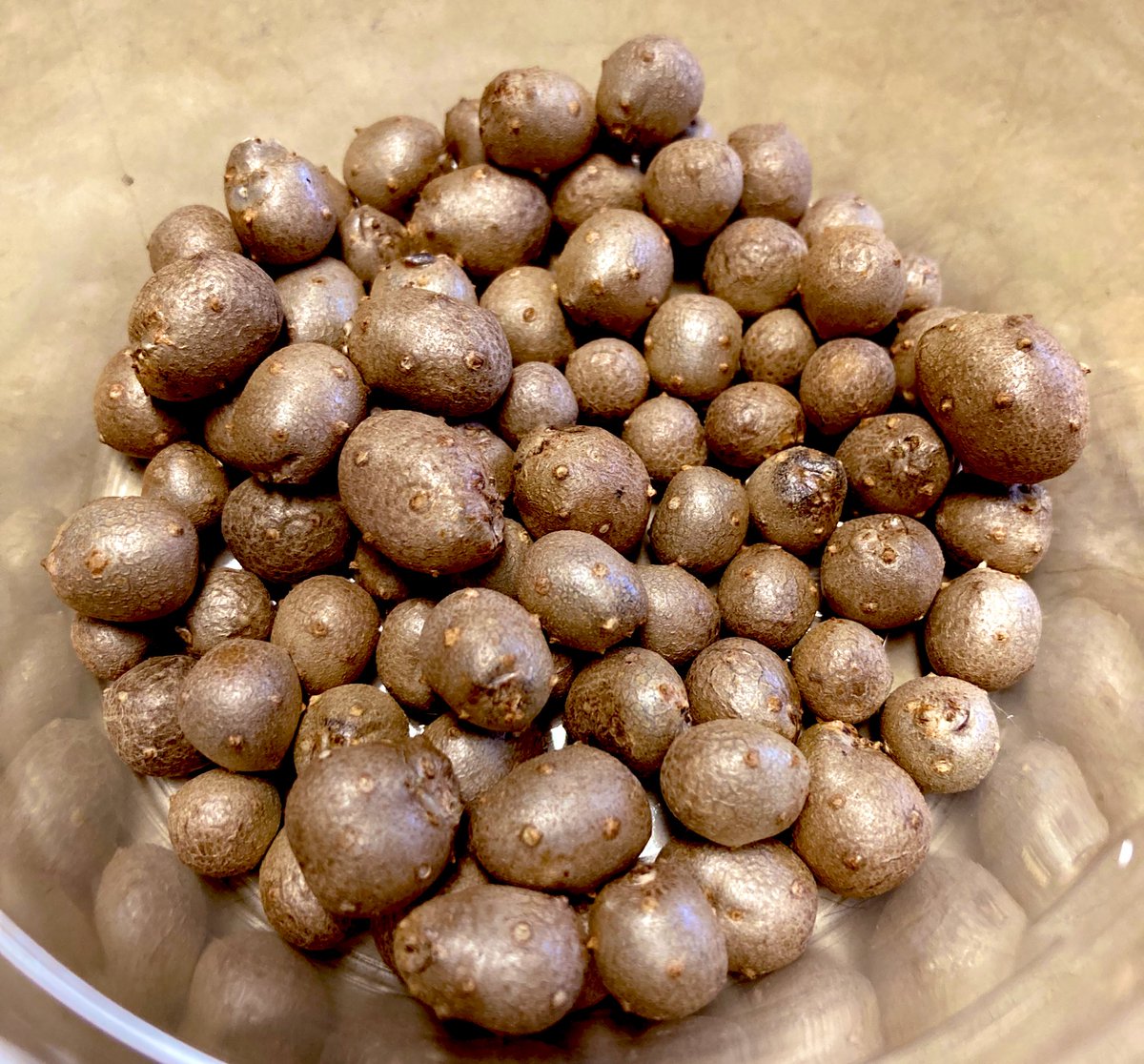 雛瀬さくら🥓🍣⛰️ tweet media