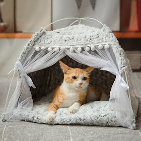 cleanse29's tweet image. Sweet Princess Cat Bed Foldable Cats Tent Dog House Bed Kitten Dog Basket Beds Cute Cat Houses Home Cushion Pet Kennel Products. #CatStore

Original price: USD 13.42

Now price: USD 9.39

More details :  catshopnearme.blogspot.com

#petstore, #catshop, #lovercat, #kittenlover, #cat