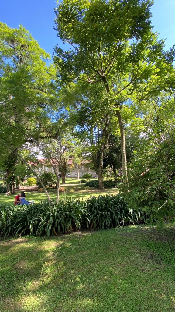 Ederrumb's tweet photo. “Los colores son la sonrisa de la naturaleza” https://t.co/472XrBxwng