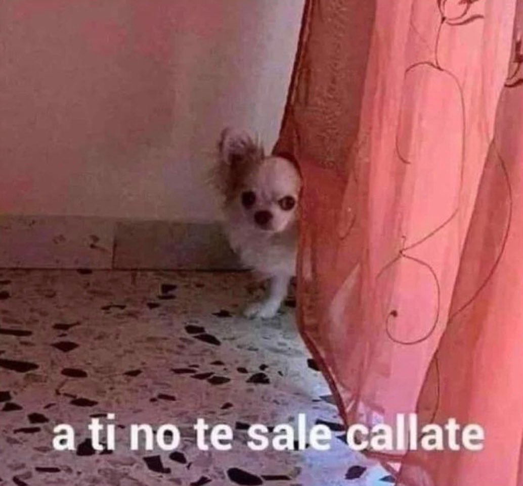 Mi novio dice alguna frase mía 

Yo en corto :