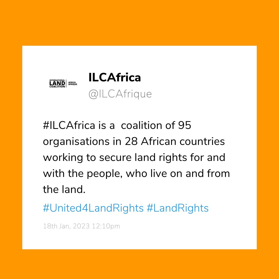 ILCAfrica tweet media