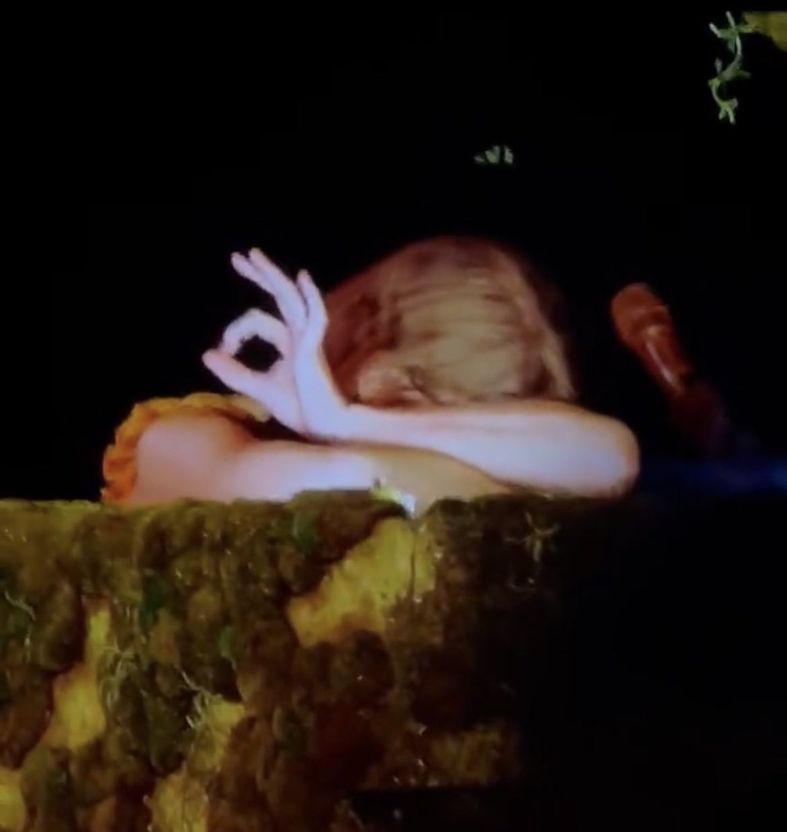 Allison Needles🐦‍⬛ tweet media