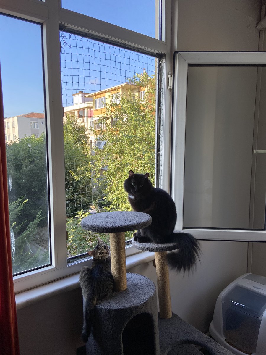 karamiskoo's tweet photo. günaydn biz uyandk https://t.co/BRzkHFEU2q