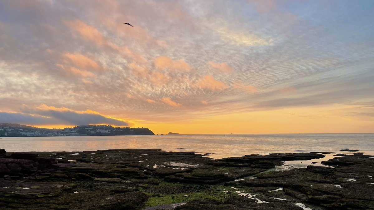 Tim Beardsmore (@beardsmoretim) on Twitter photo Mindfulness - inspirational. Close you eyes and open your mind โค๏ธ๐๐ป
<a href="/DPT_NHS/">Devon Partnership NHS Trust</a> <a href="/DPT_Jobs/">Join Devon Partnership NHS Trust</a>
<a href="/EnglishRiviera/">English Riviera</a>
<a href="/TorBayHarbour/">Tor Bay Harbour Authority & Beaches</a>
<a href="/VisitDevon/">Visit Devon</a>
<a href="/GreatDevonDays/">Devon Days #LoveDevon</a>
<a href="/DevonLife/">Devon Life</a>
#Mindfulness
#beachlife
#neverfinished
#getoutside Mindfulness - inspirational. Close you eyes and open your mind โค๏ธ๐๐ป
<a href="/DPT_NHS/">Devon Partnership NHS Trust</a> <a href="/DPT_Jobs/">Join Devon Partnership NHS Trust</a>
<a href="/EnglishRiviera/">English Riviera</a>
<a href="/TorBayHarbour/">Tor Bay Harbour Authority & Beaches</a>
<a href="/VisitDevon/">Visit Devon</a>
<a href="/GreatDevonDays/">Devon Days #LoveDevon</a>
<a href="/DevonLife/">Devon Life</a>
#Mindfulness
#beachlife
#neverfinished
#getoutside