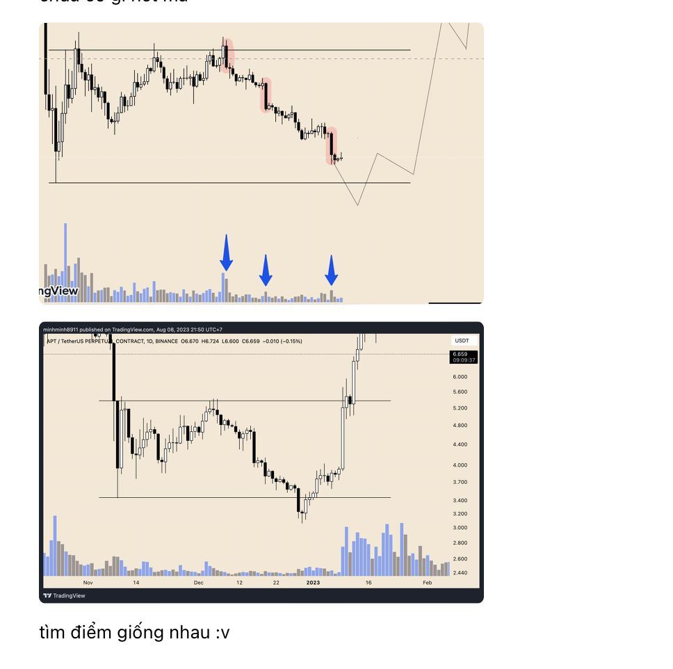 Quan trọng hơn hết phải đợi tín hiệu cụ Btc :v