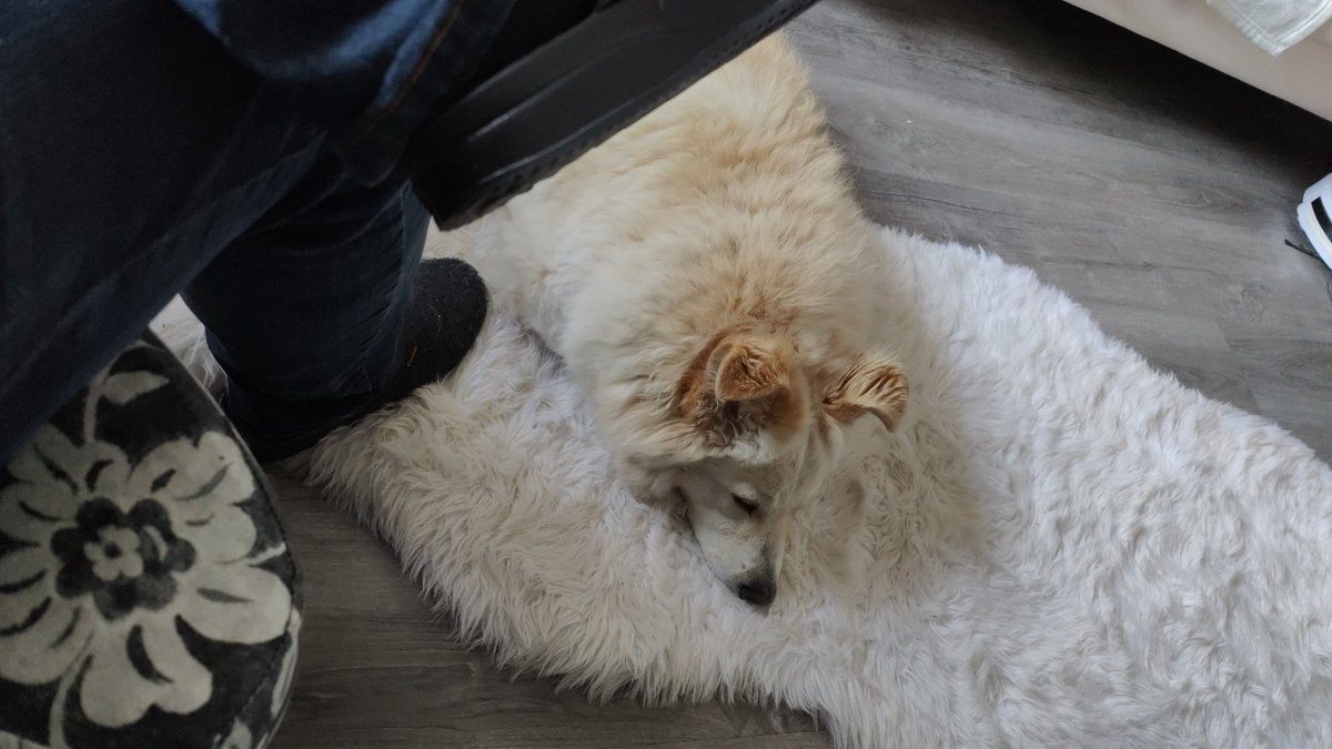 pulegon's tweet photo. alles ok, @kathikaffee hat mich nach hause gefahren, ich hab getränke und zucker, und h5 passt auch auf https://t.co/kDxit2SOjd