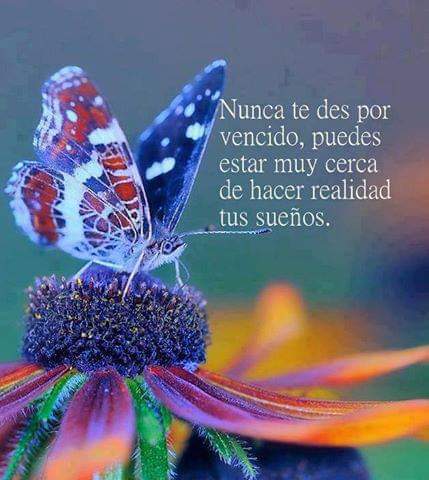 Clara G.G (@claraeugeniagg) on Twitter photo 