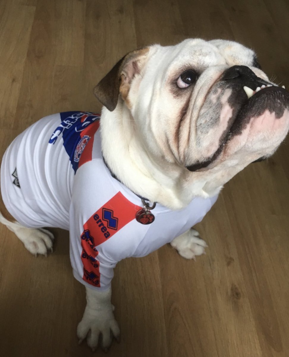 Jason 🦅 tweet media