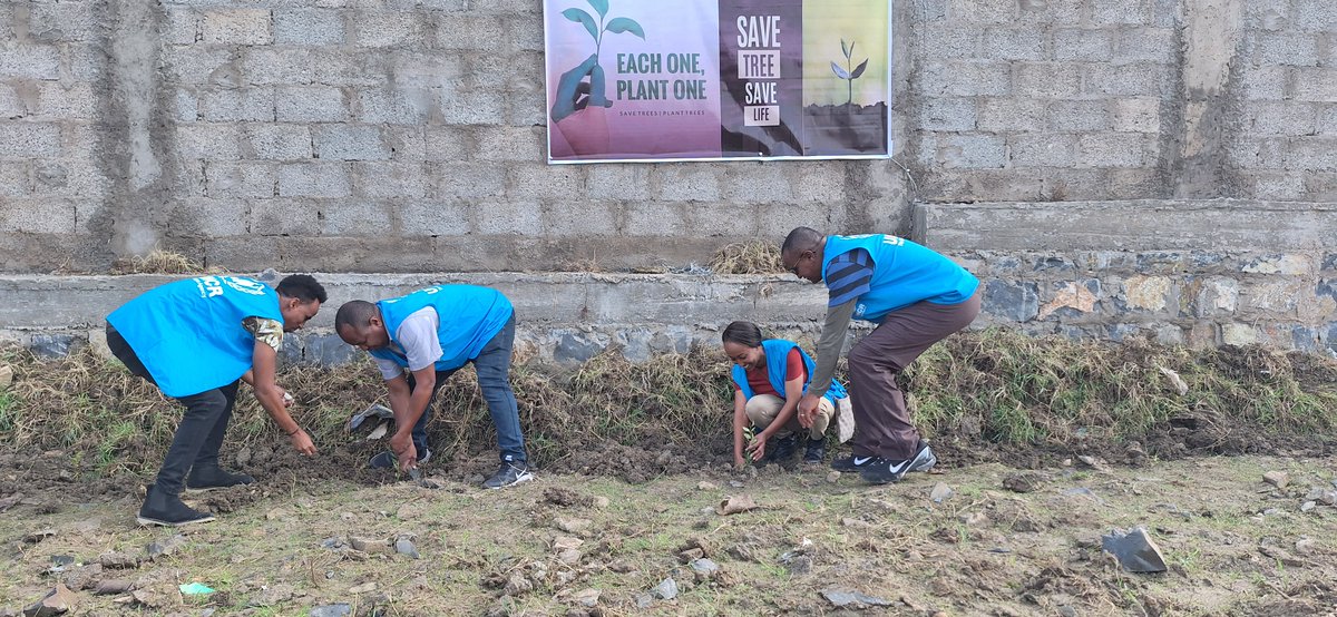 UNHCREthiopia's tweet photo. Internally displaced people together with @UNHCREthiopia, UN agencies, NGOs and government representatives, joined Ethiopia 🇪🇹's "Let's Plant our Future Today" initiative, planting 300 trees 🌳🍃 in Maywoini Secondary School site, #Tigray. https://t.co/NsgUTTfscn