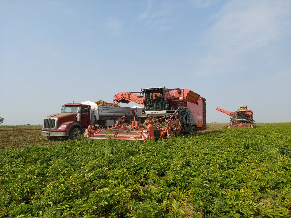 Unleashing Xtreme power in the heart of Alberta, Canada! 🇨🇦
Introducing not one, but two new #Dewulf #Kwatro Xtremes, ready to redefine efficiency and productivity in the field. Let the harvest begin! 🌾💪
#Enjoygrowing