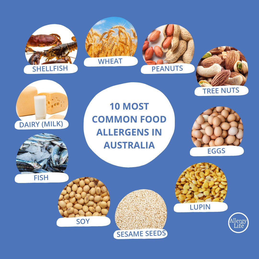 Allergy Life Australia tweet media