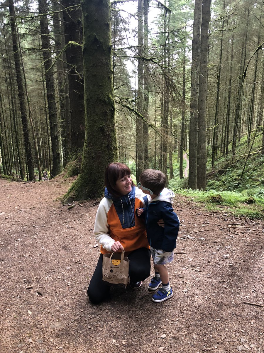 ElaineT39's tweet photo. #zogtrail @ForestryEngland 🍃 https://t.co/UfGBZklwql