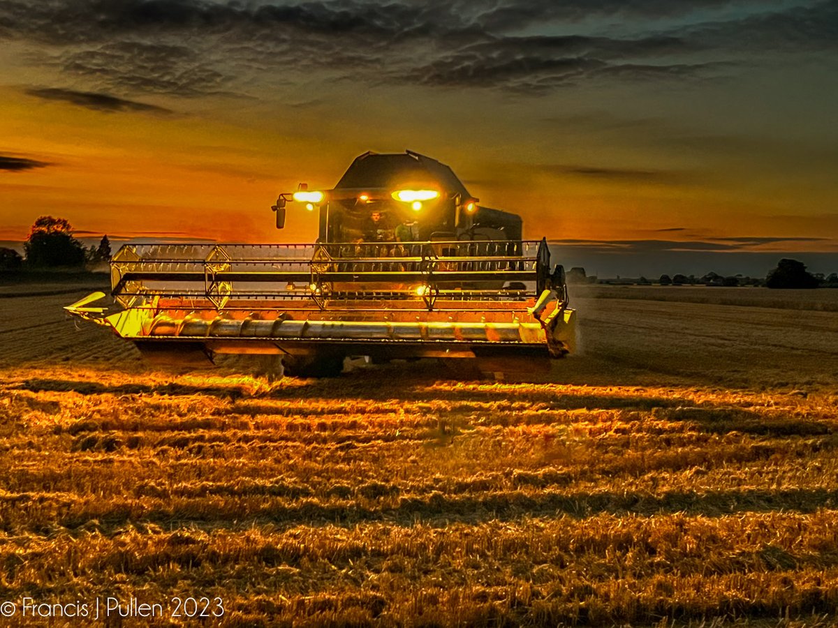 Night time harvesting in the village of Lode, East Cambs #harvesting #nightime #combineharvester #cornfield #sunset #lode #countryside