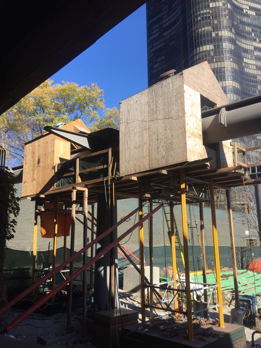 Smout Allen tweet media