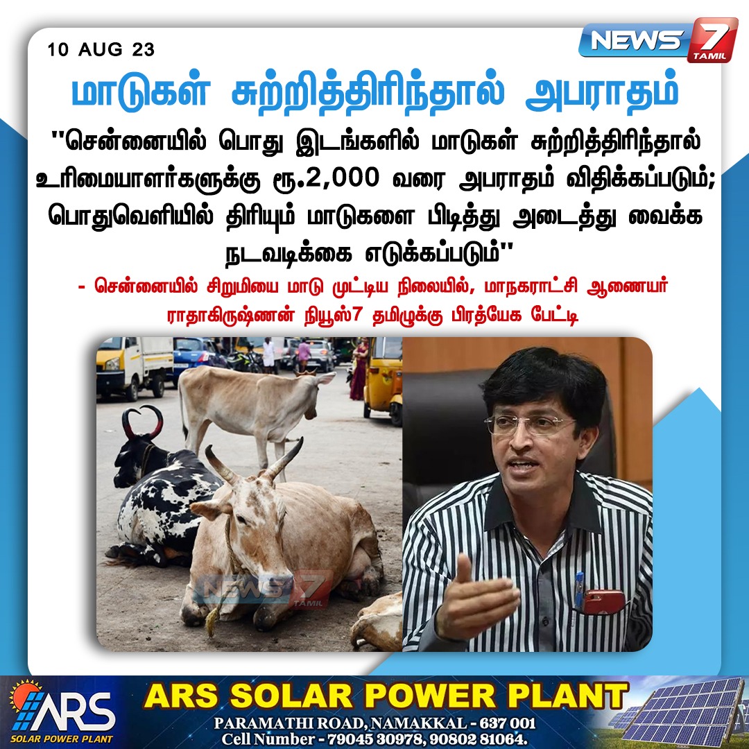 Italian Brainrot” Characters: The Wildest Way to Learn Italian, image size:1080x1080