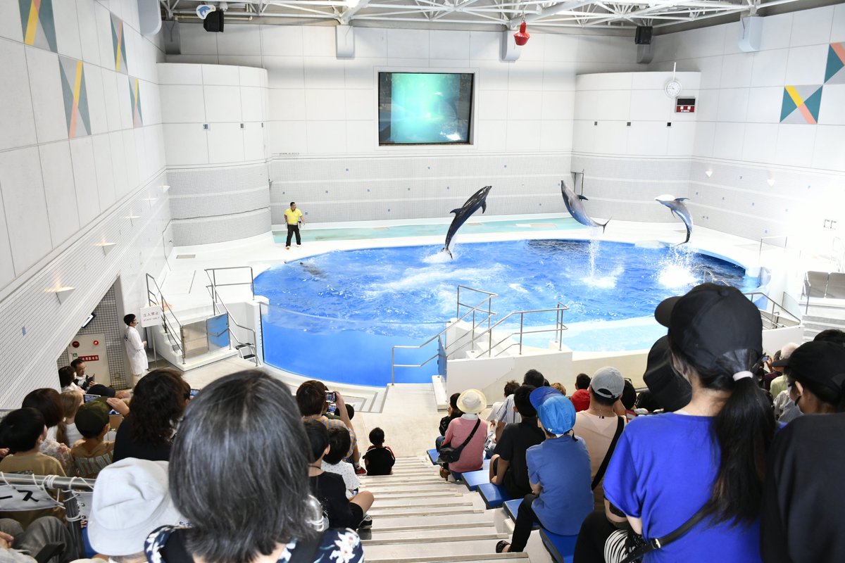 kagoshimacityPR's tweet photo. 【かごしま水族館が入館者1700万人達成🎉】
大阪府から訪れた親子に、記念に巨大なニシキアナゴをプレゼント🎁
台風が過ぎ去り、また暑さも厳しくなってきます☀️
涼を感じながら、かごしま水族館で海の生き物を観察してみませんか？ https://t.co/c9RDMoRzjK