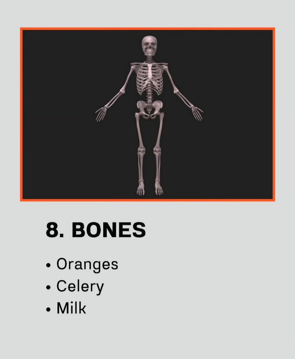 Here Are The Best Foods For Each Part Of Your Body Thread From Seek here-are-the-best-foods-for-each-part-of-your-body-thread-from-seek