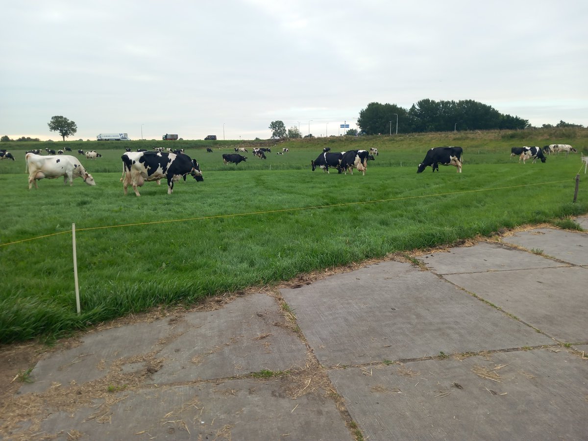 7x 100000 liter melk.
Straks gaan ze op de foto.