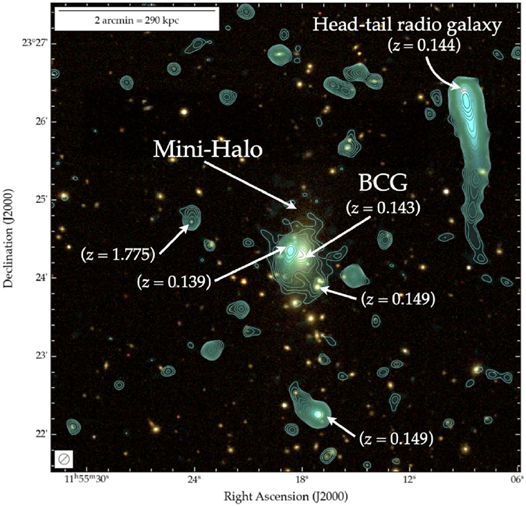 Published in #MNRAS: 'A MeerKAT-meets-LOFAR study of Abell 1413: a moderately disturbed non-cool-core cluster hosting a ~500 kpc ‘mini’-halo', Riseley et al. This is Fig. 1: for the caption & to read the paper visit academic.oup.com/mnras/article/…