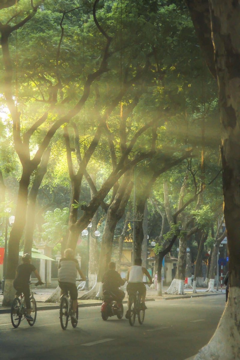 Amelia151098's tweet photo. Hanoi - in the first days of Autumn
#hanoi #vietnam #capital #Autumn #AUTUMNFALLS #beautiful https://t.co/Rjt8ThEx5h