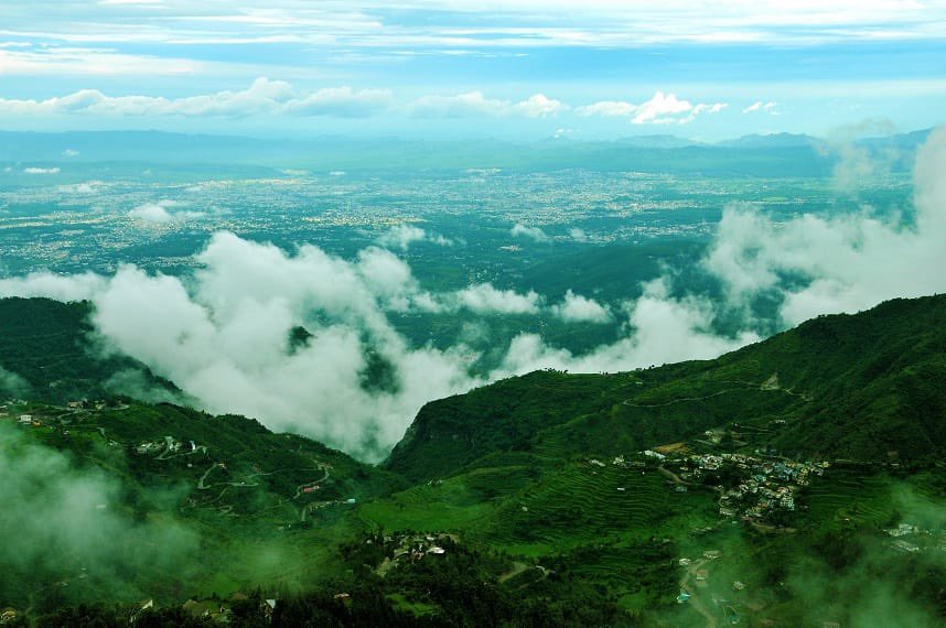 Shivani Azad tweet media