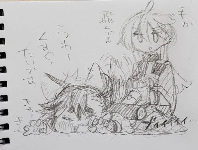 今日会ったのねこちゃんが掃除機OKちゃんだったです