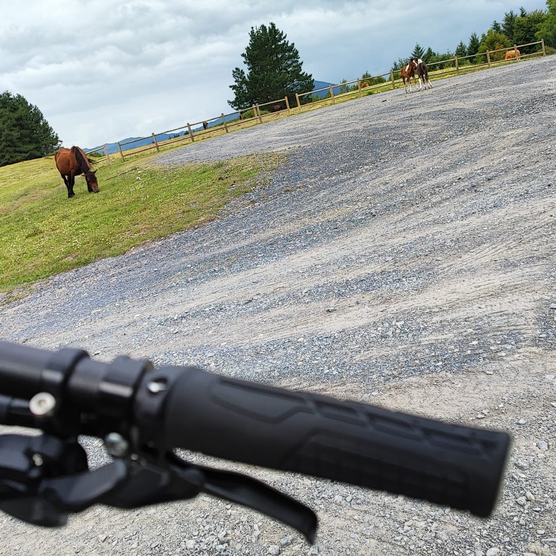 EnkarterriBike's tweet photo. ¿Te imaginas estar ahí🐎?Deja de imaginarlo 💭 y acércate a  #Enkarterri, la #Bizkaia más sorprendente💚. 

Recorre nuestra comarca en una de nuestras #bicis🚲 y déjate envolver por todos sus encantos 🤩.

Contacta ya con nosotros :
📩 bikes@urbegi.com 
☎ 688 730 666 https://t.co/vkrFvDrGzg