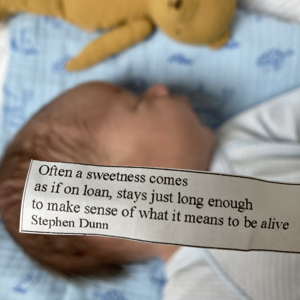 pencilsintrees's tweet photo. ‘Often a sweetness comes   
as if on loan, stays just long enough to make sense of what it means to be alive…’ #StephenDunn

Can confirm 🙌🏻✨

@emergencypoet 💊❤️‍🩹 https://t.co/NaMGYl0xAQ