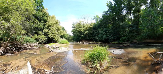 geobiodiversity's tweet photo. #Biodiversity in European #rivers increased significantly since 1968 💧🦟- new study in @Nature led by Peter Haase and Ellen Welti shows.

However, the positive trend has stagnated since 2010. Further protection measures are necessary, authors argue.🇪🇺 👉https://t.co/BNpuGB3NpH https://t.co/0Lhn2KefJ3