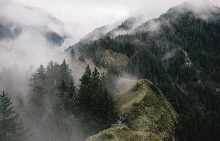 fog &amp; freshness.