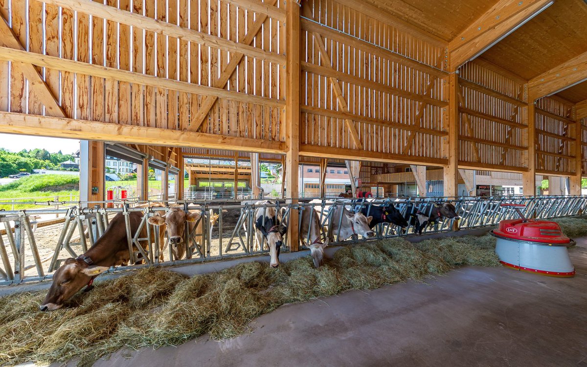 knw__e's tweet image. … interessante #Stellenausschreibung des #Arenenberg, #PartnerdesKNWE
… eine spannende Chance!
Herzlichen Dank für’s Weitersagen!
#BeratungLandwirtschaft #Landwirtschaft #Unternehmensführung #newJob #neueStelle #AgroFoodScout #foodvernetzt
ernaehrungswirtschaft.ch/angebote/5/8a7…