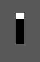 TheLassieCassie's tweet photo. gay test https://t.co/wyayjtk6YP