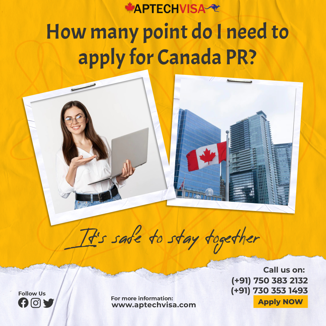 aptechvisa1's tweet image. For getting a #CanadaPRvisa You need to prove your English language skills by taking an approved language test. One of the most popular tests for English is the #IELTS
Visit us to Know more about IELTS requirements on Canada PR aptechvisa.com/canada/visa/ie…