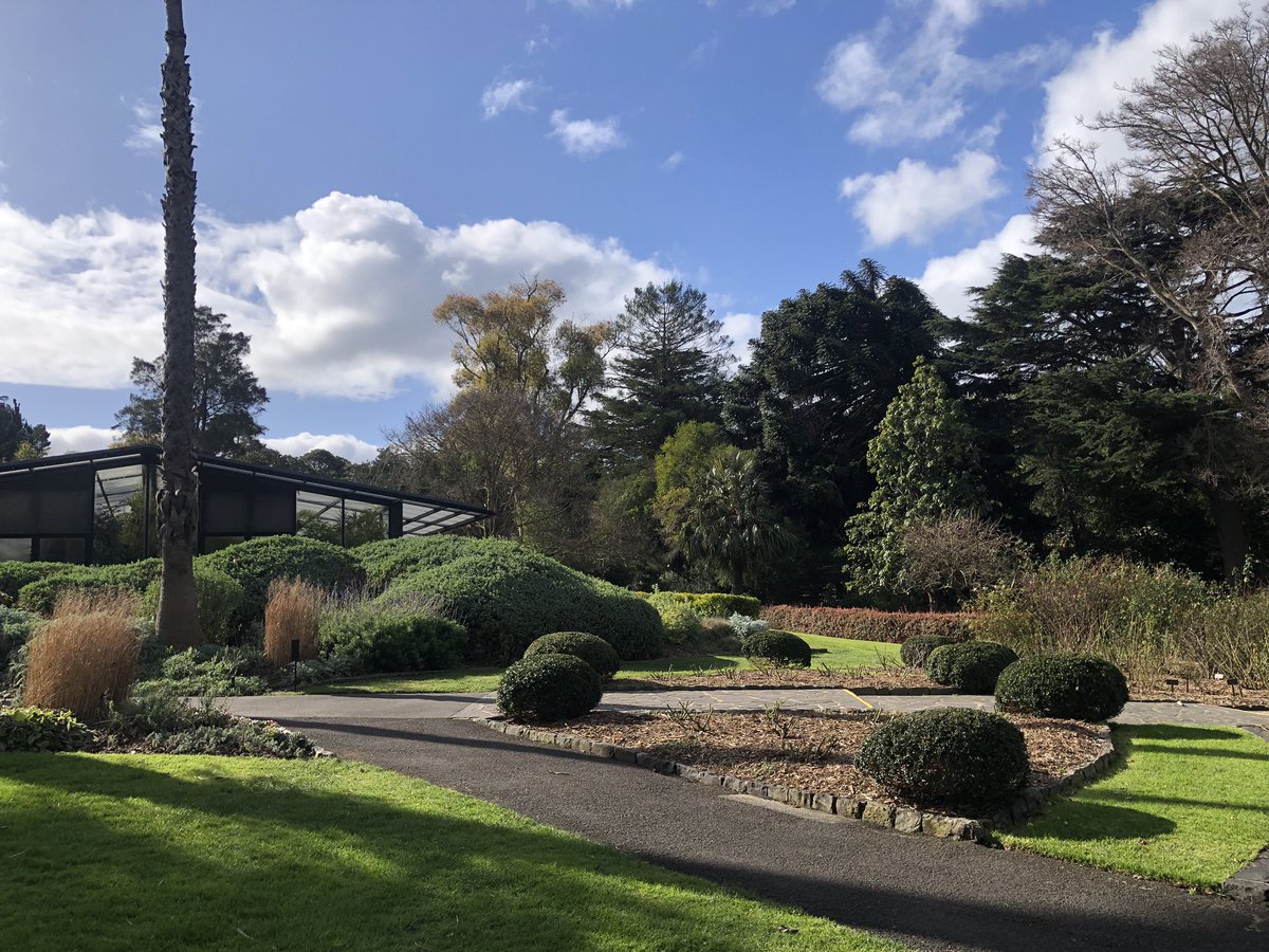Bundogs's tweet image. Not a bad spot for some lunch - Geelong Botanic Gardens looking sensational and all thanks to @KReissinger and her team of legends 👏 #geelongbotanicgardens #bganz #lunchwithaview