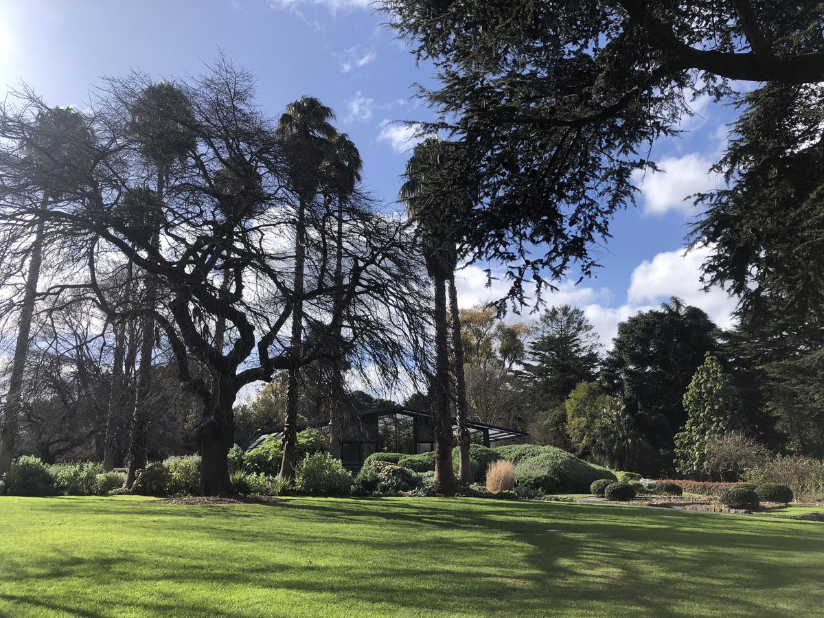 Bundogs's tweet image. Not a bad spot for some lunch - Geelong Botanic Gardens looking sensational and all thanks to @KReissinger and her team of legends 👏 #geelongbotanicgardens #bganz #lunchwithaview