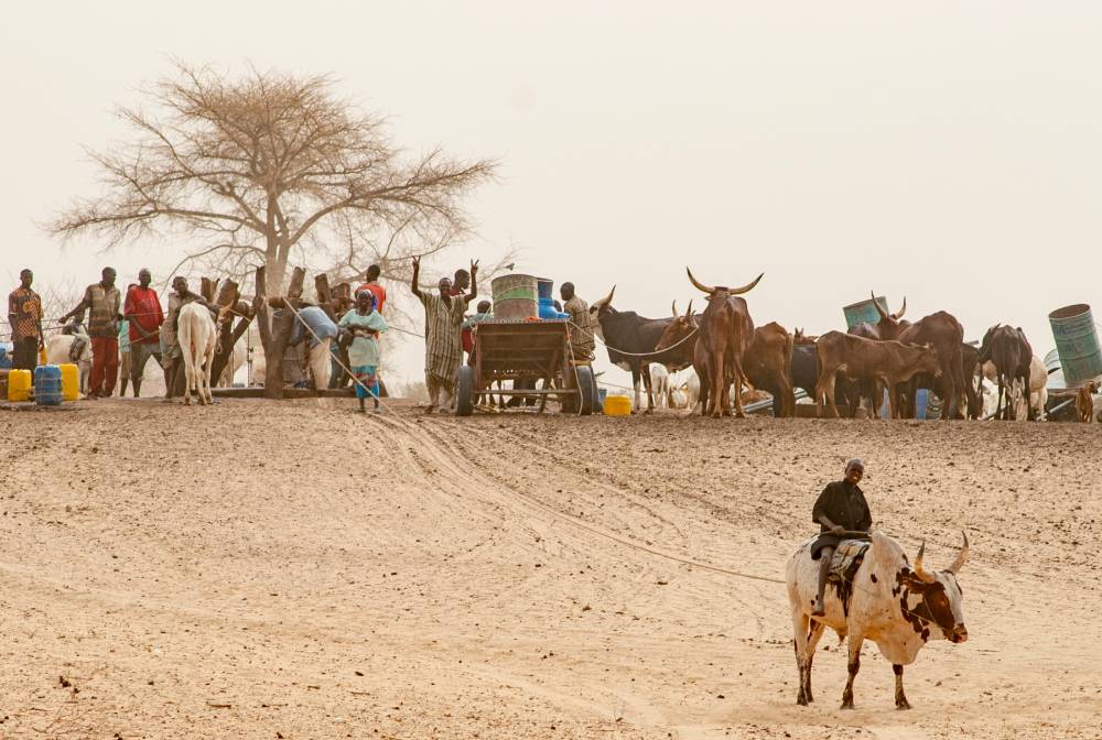 WorldBankWater's tweet photo. Countries in #LakeChad Basin face a conflict-climate risk trap of: 🏜️Low rainfall, ⚠️Drought &amp; flooding 🏦Political instability 

Read how @ciwaprogram improves #water mgmt by identifying investment, capacity &amp; knowledge gaps.

#AViewFromTheField blog 👉🏾 https://t.co/9BjlZFqnwb https://t.co/wdI4YpJvk7