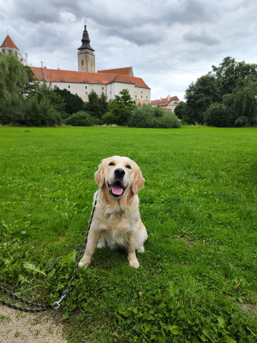 🏰💜