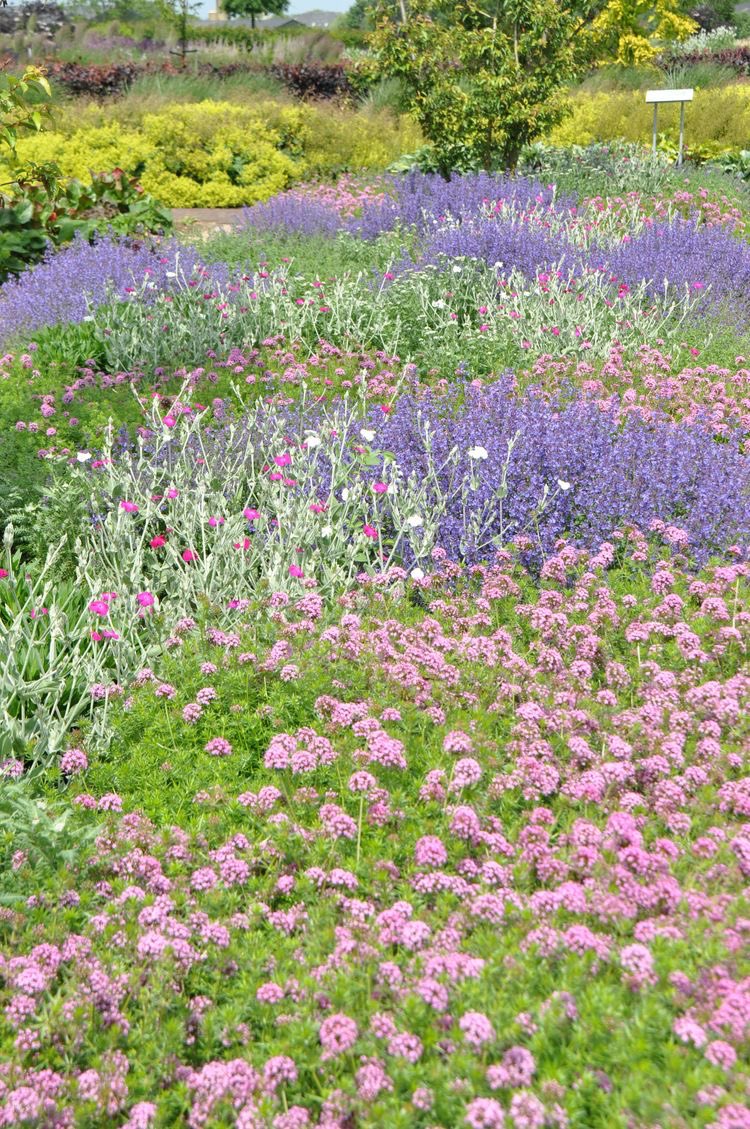 itmydefinition's tweet photo. where flowers bloom 
so does hope :-) https://t.co/SDhrgrlxjv