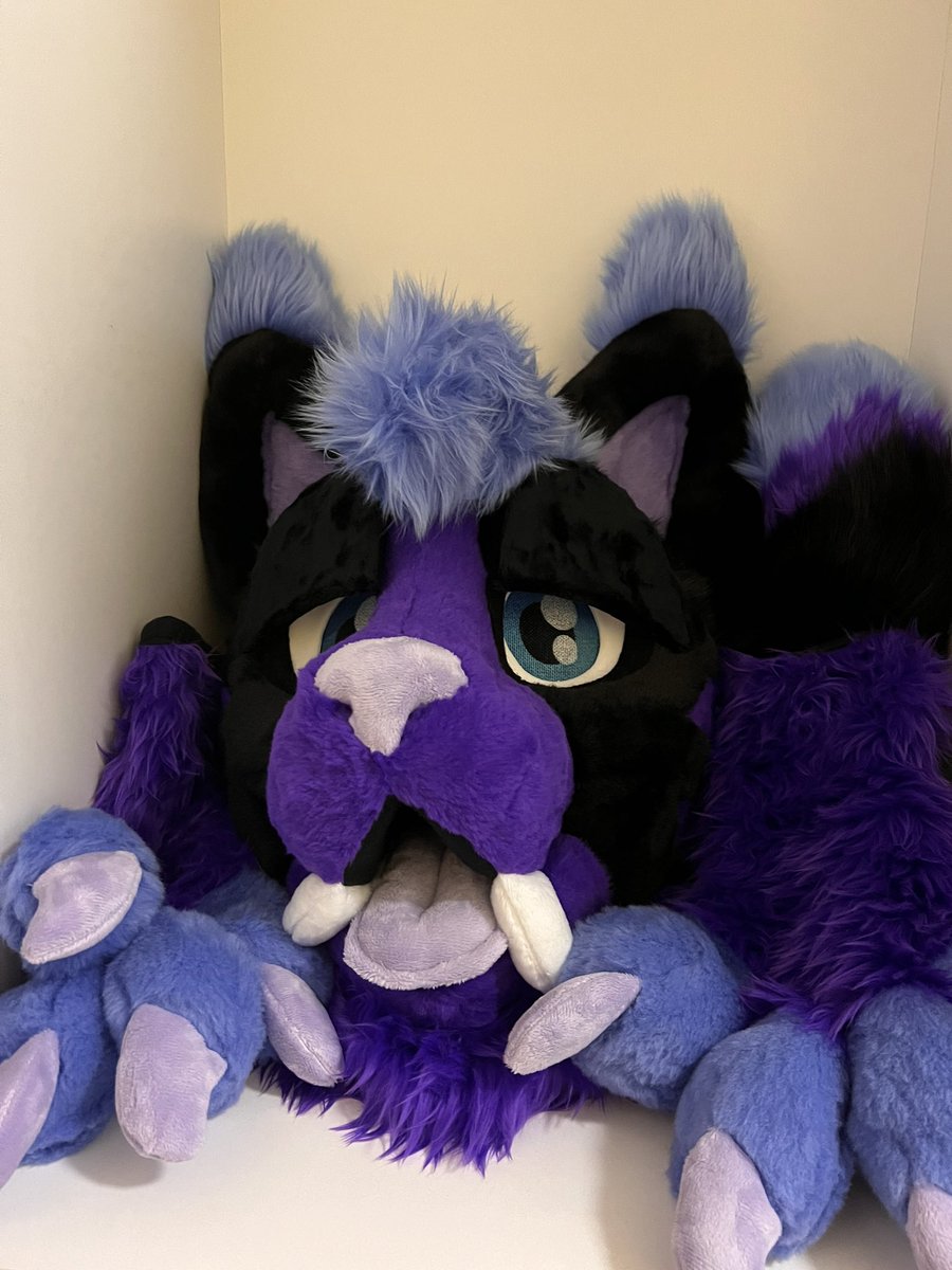 furry_flea's tweet photo. Every time I open the cupboard he gives me that look 😺😼 https://t.co/XpVZHCm503